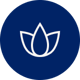 icon-spa